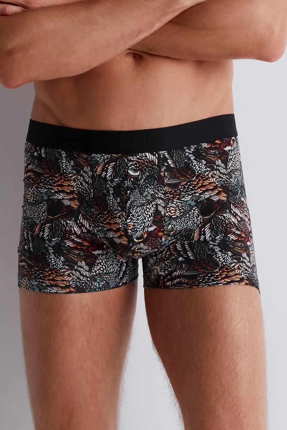 Homme Men's Modal Cotton Owls Boxer