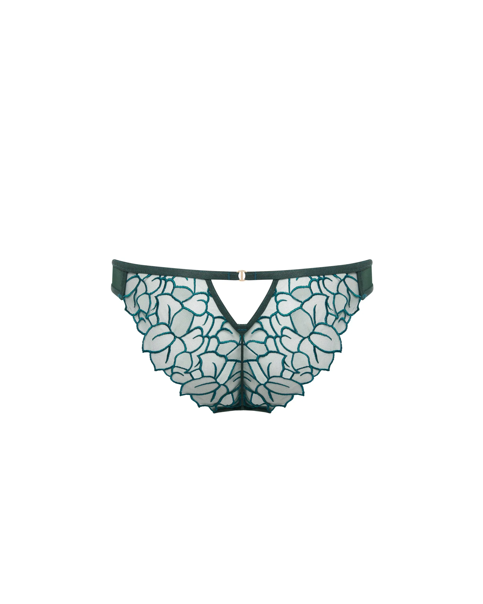 Laurel Brief Botanical Garden Green