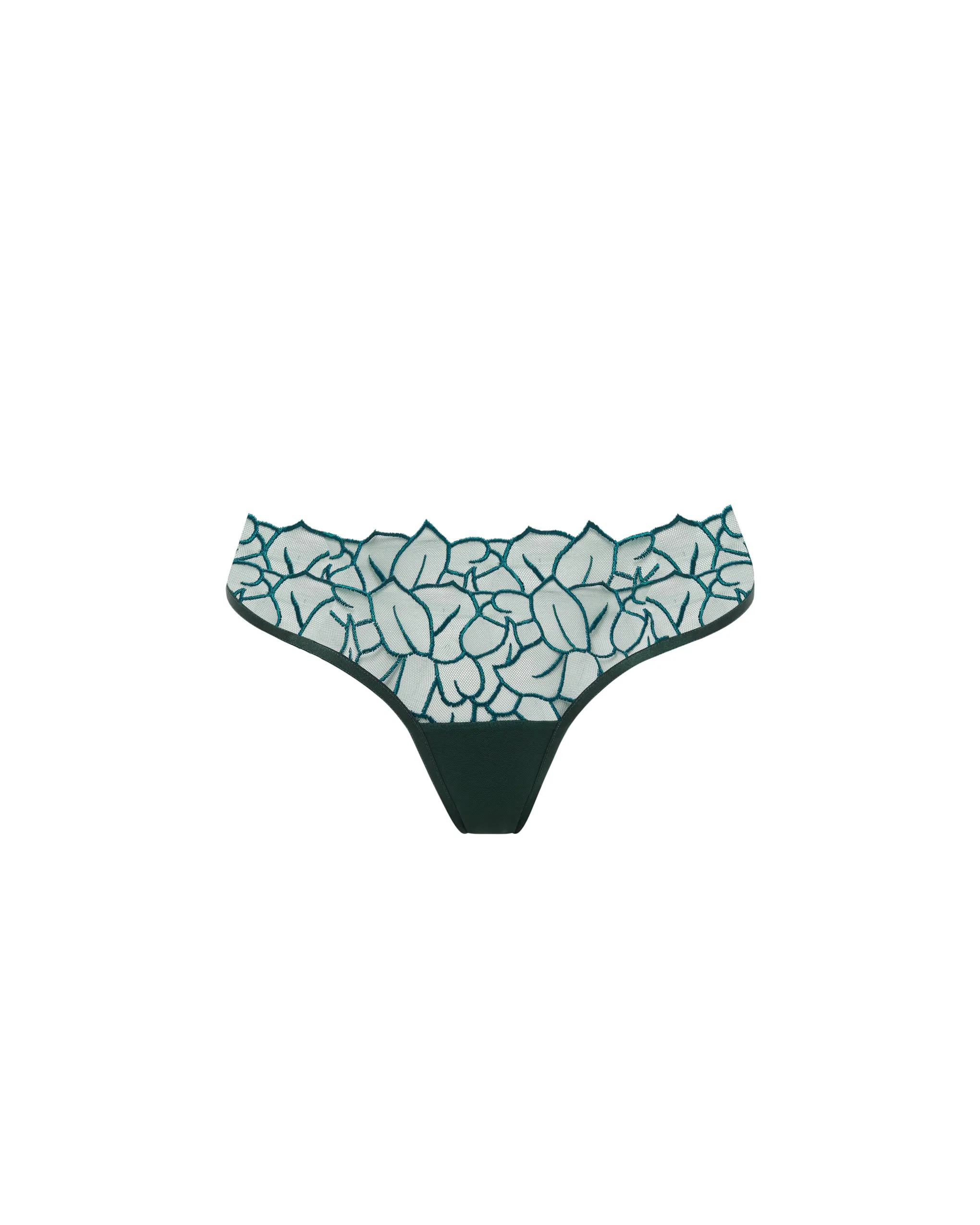 Laurel Brief Botanical Garden Green