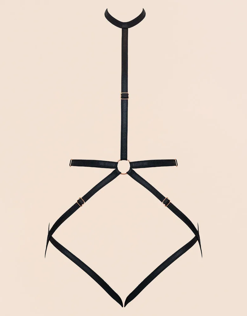 Scantilly Rules of Distraction Harness Black